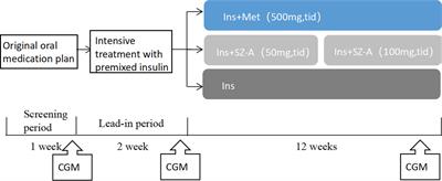 Effects of mulberry twig alkaloids(Sangzhi alkaloids) and metformin on blood glucose fluctuations in combination with premixed insulin-treated patients with type 2 diabetes